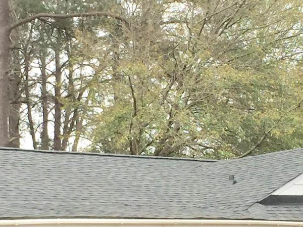 St Joseph Roofing