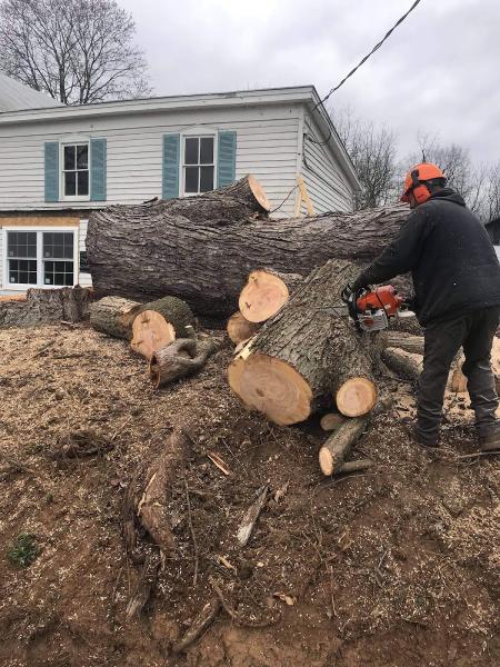 Top Notch Tree Service