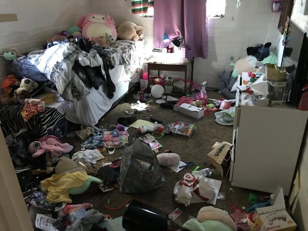 Born To Shine Home and Hoarder Cleanup
