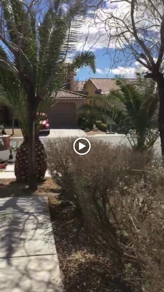 Ruben's Lawn Service