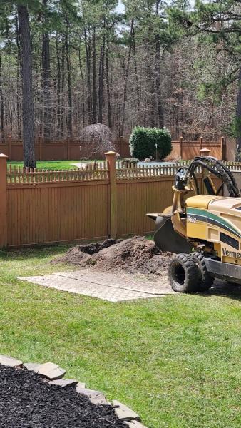 Phil's Tree Services