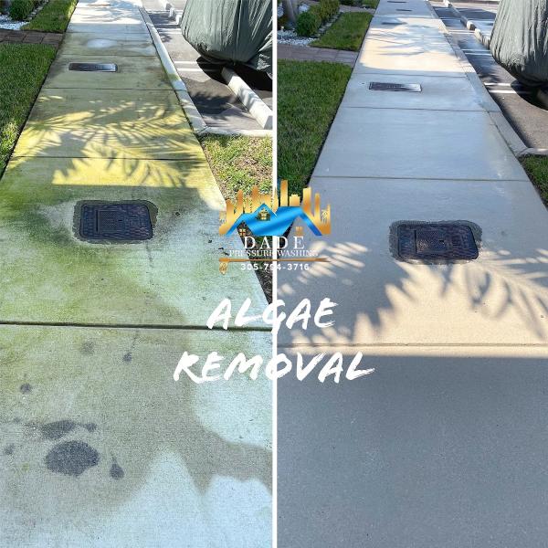 Dade Pressure Washing