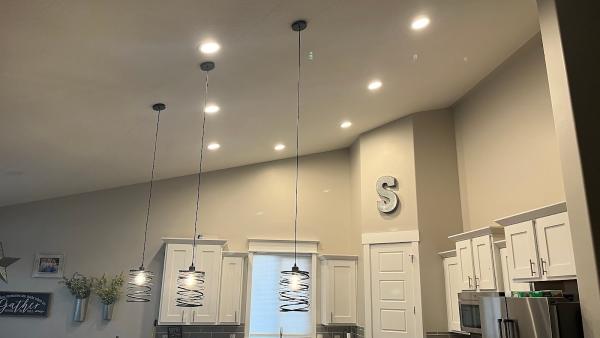 The Recessed Light Guy LLC
