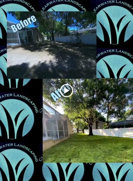 Clearwater Landscaping