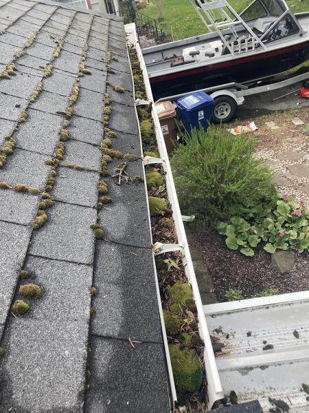 4TW Pressure Washing -Roof Cleaning Specialists