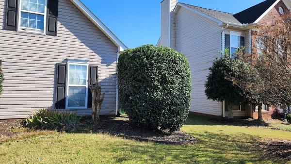 Jason Yard Scaping