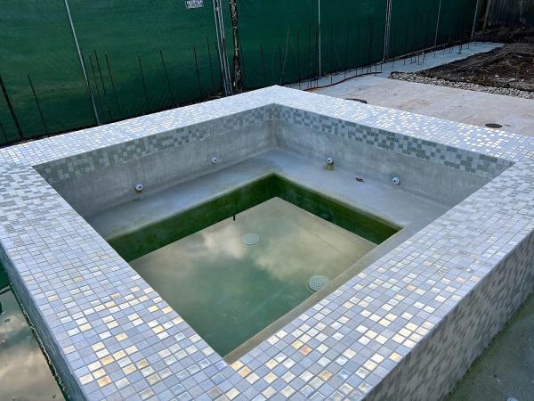 Lone Wolf Pools