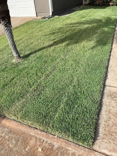 Green Thumb Pros LLC