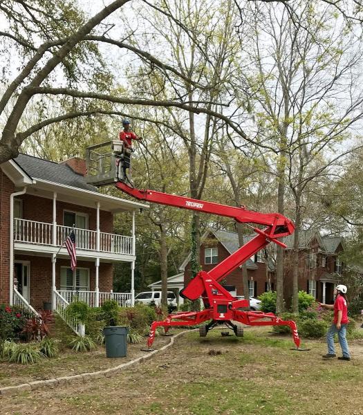 Clemmons Tree Care