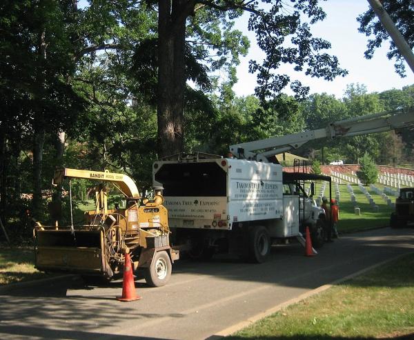 Takoma Tree Experts Llc.