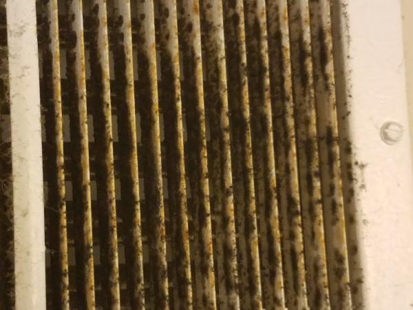 Ugly Ductling Air Duct/Dryer Vent Cleaning