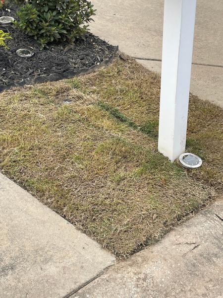 Asap Landscape Management Group