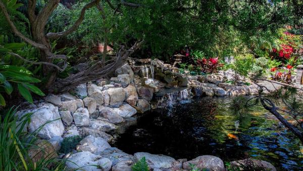 San Diego Ponds