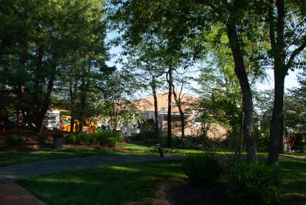 Pro Arbor Tree Care Professionals