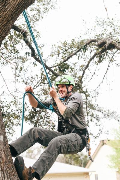 Adam's Apple Tree Service