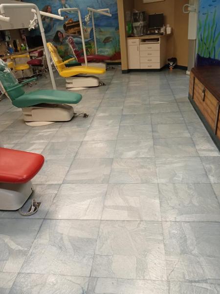 Chaste Cleaning Services LLC