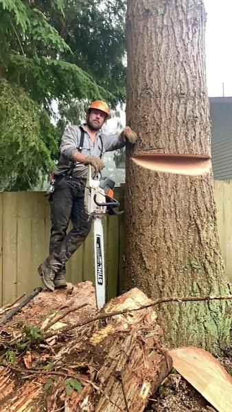 Thuline Timber Co