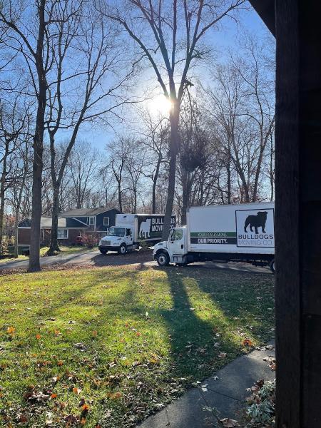 Bulldogs Moving Co.