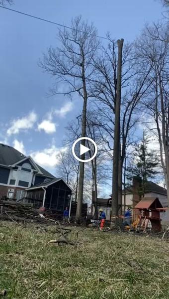 Rogers Tree Service & Landscaping LLC