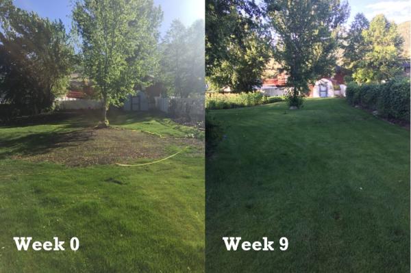 Professional Hydroseeding