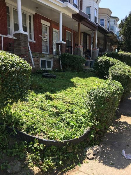 BP Lawn Care