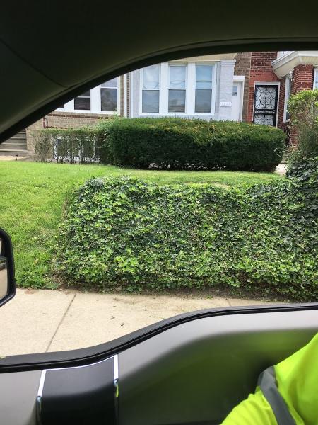 BP Lawn Care