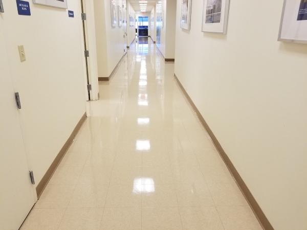 Incredible Shine Services