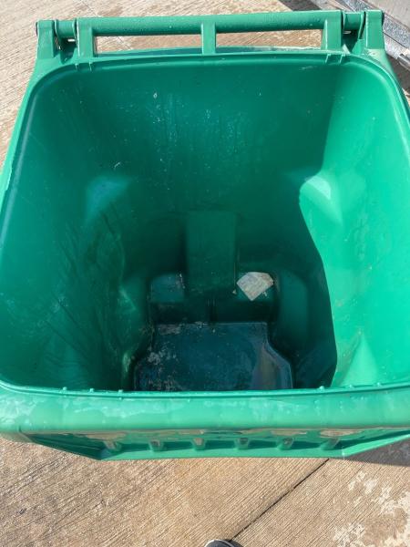 It's Bin Cleaned