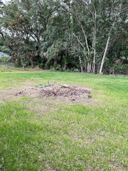Southern Cuts Tree Service
