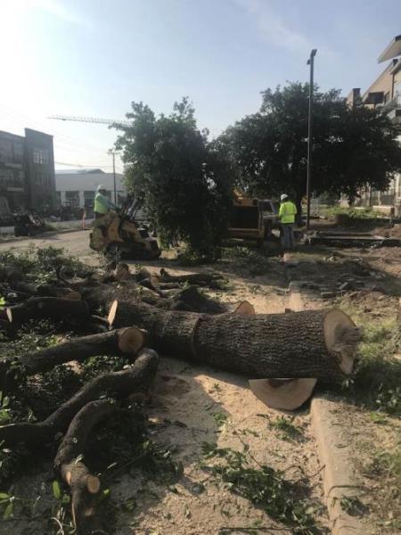 Master Tree Service