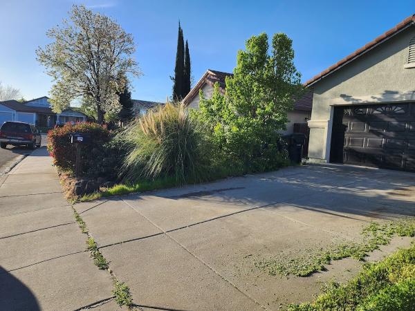 Junk Removal & Landscaping Services