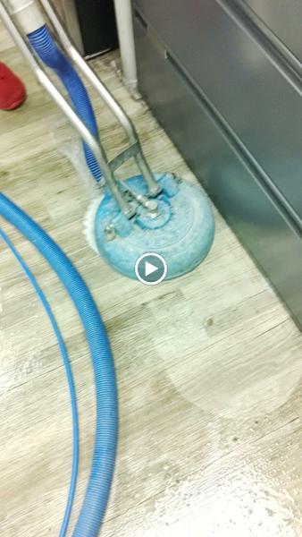 Logan Carpet Cleaning • Kissimmee FL