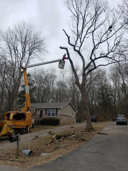 Love it Landscaping and Tree