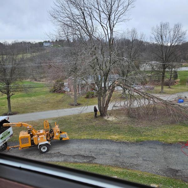 Schafer's Outdoor Services Llc