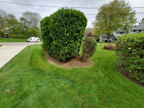 Titan Arbor Care
