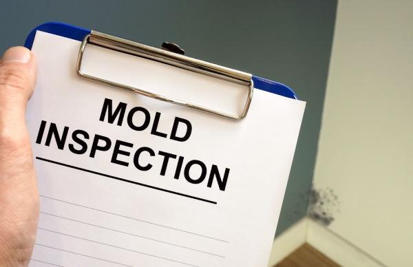 OC Mold Experts
