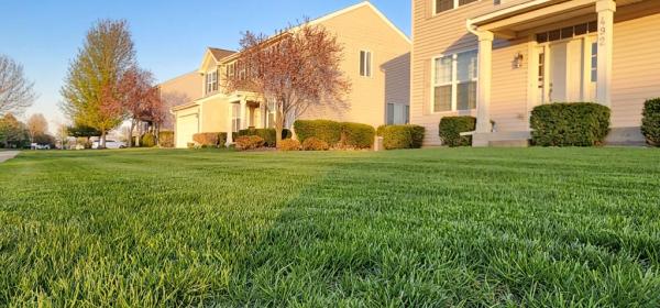 Carefree Lawn Sprinklers Inc.