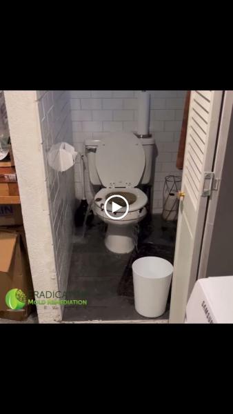 Eradicator Mold Remediation Services