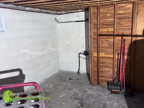 Eradicator Mold Remediation Services