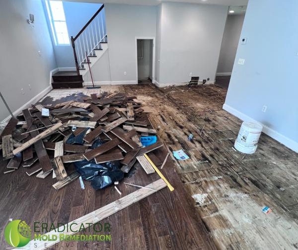 Eradicator Mold Remediation Services
