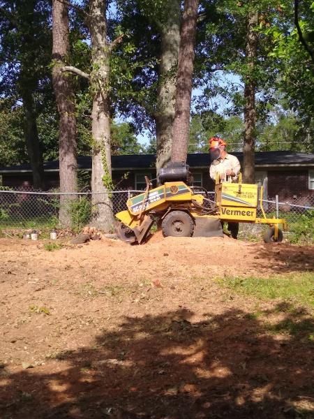 Gough Tree Service