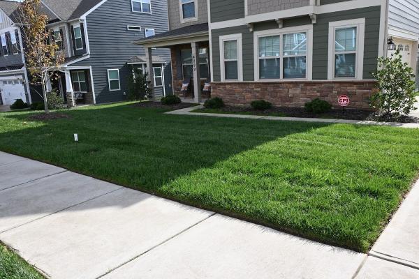 Carolina Turf Services