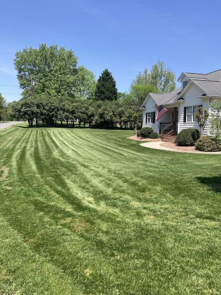 Carolina Turf Services