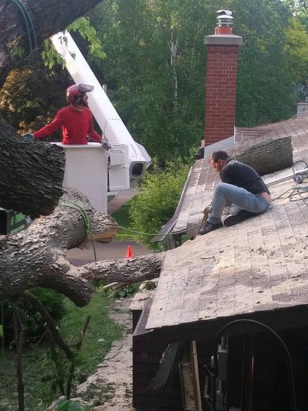 Extreme Tree Service
