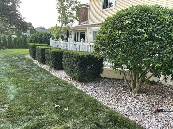 From the Roots Lawn & Landscaping