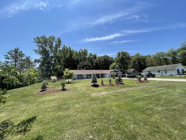 From the Roots Lawn & Landscaping