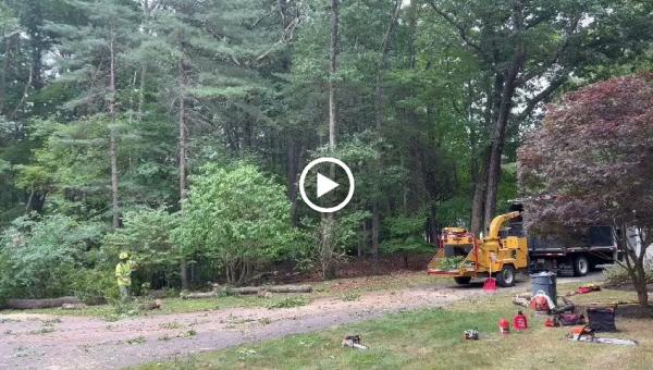 JC & G Tree Service Corp