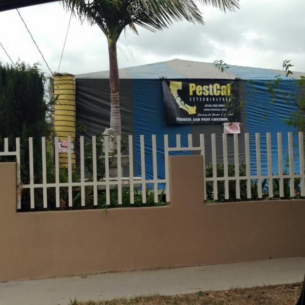 Pestcal Exterminators