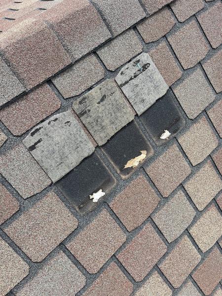 Roof-Tech