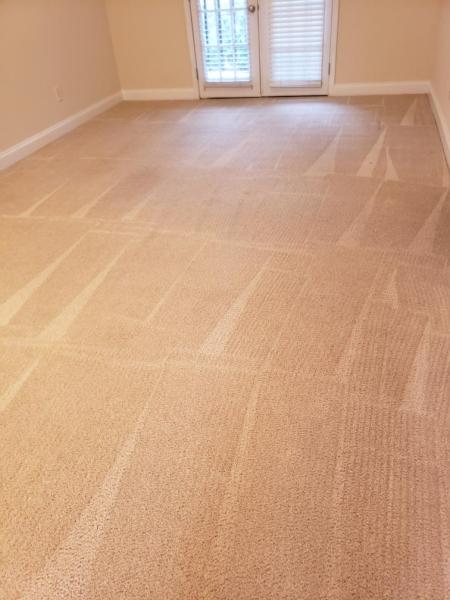 Premier Plus Carpet Care